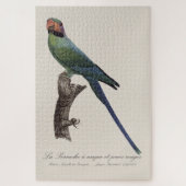 Langstaartparkiet, Psittacula Longicauda Legpuzzel (Verticaal)