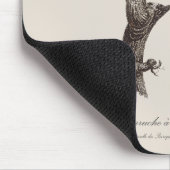 Langstaartparkiet, Psittacula Longicauda Muismat (Hoek)