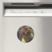 Langstaartwiel Magneet (Insitu (Vaatwasser))