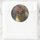 Langstaartwiel Ronde Sticker (Tas)