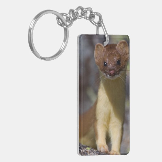 Langstaartwiel Sleutelhanger (Voorkant Links)