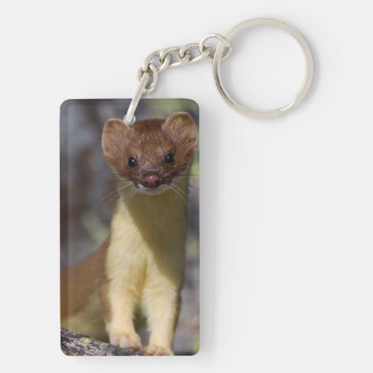 Langstaartwiel Sleutelhanger (achterkant)