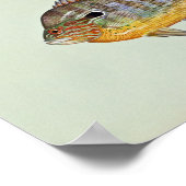 Langste zonnevis poster (Hoek)