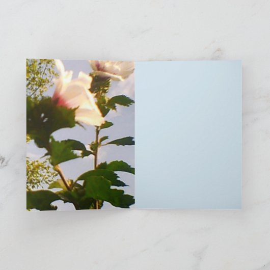 Langstelige witte rozen kaart (Binnen)