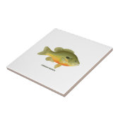 Langszonnig Tegeltje (Zijkant)