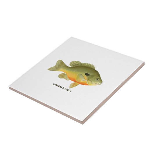 Langszonnig Tegeltje (Zijkant)