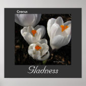 Language of Flowers Crocus Gladness Poster (Voorkant)