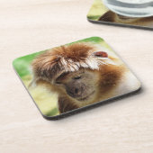 LANGUR MONKEY BIER ONDERZETTER (Linkerzijde)