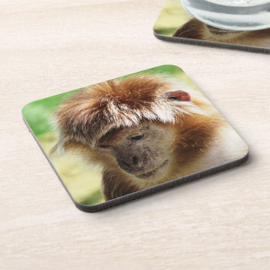 LANGUR MONKEY BIER ONDERZETTER (Linkerzijde)