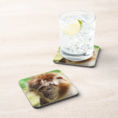 LANGUR MONKEY BIER ONDERZETTER (Rechterzijde)