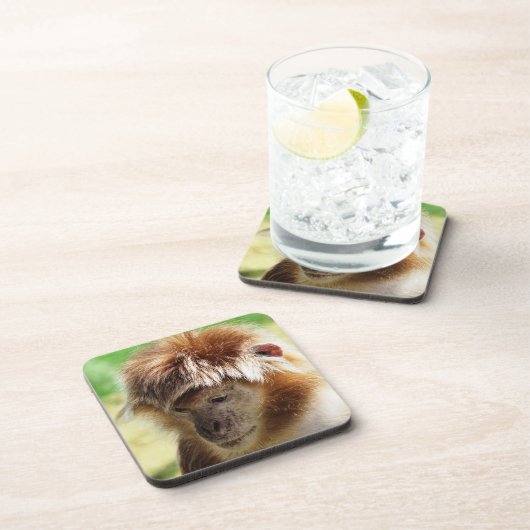 LANGUR MONKEY BIER ONDERZETTER (Rechterzijde)