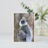 Langurapaap Briefkaart (Staand voorkant)