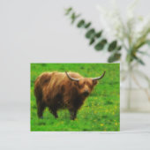 Langwerpige LongHorn met lange paarden Briefkaart (Staand voorkant)