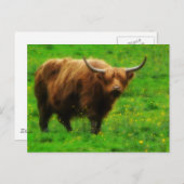 Langwerpige LongHorn met lange paarden Briefkaart (Voorkant / Achterkant)