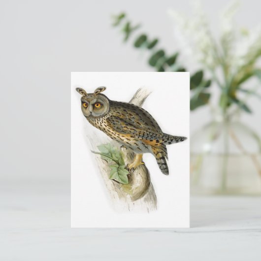 langwerpige otus briefkaart (Staand voorkant)