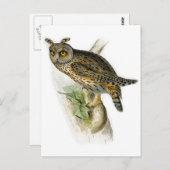 langwerpige otus briefkaart (Voorkant / Achterkant)