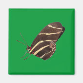 Langwerpvlinder Magneet (Voorkant)