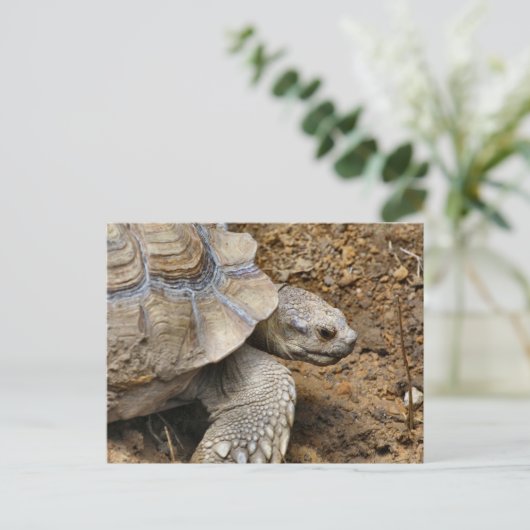 Langzaam Briefkaart (Staand voorkant)