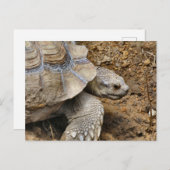 Langzaam Briefkaart (Voorkant / Achterkant)