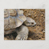 Langzaam Briefkaart (Voorkant)