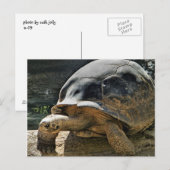 langzaam en constant briefkaart (Voorkant / Achterkant)