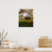 "Langzaam en gestaag wint de race." Aesop Poster (Keuken)