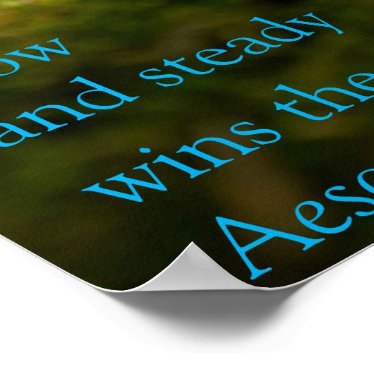 "Langzaam en gestaag wint de race." Aesop Poster (Hoek)