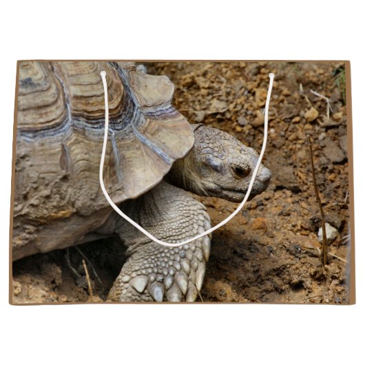 Langzaam Groot Cadeauzakje (Voorkant)