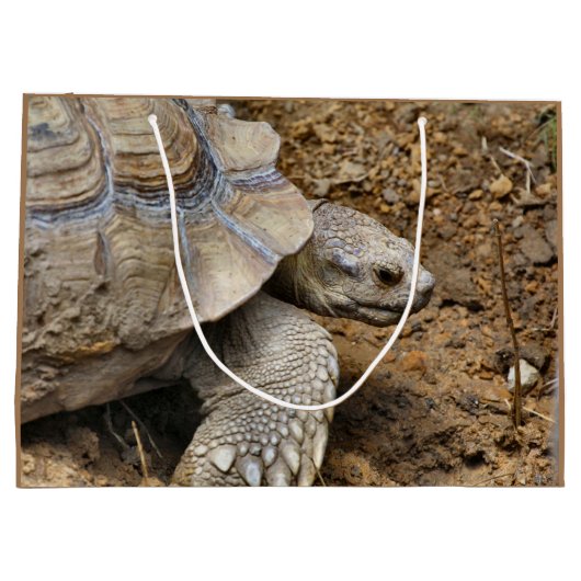 Langzaam Groot Cadeauzakje (Achterkant)