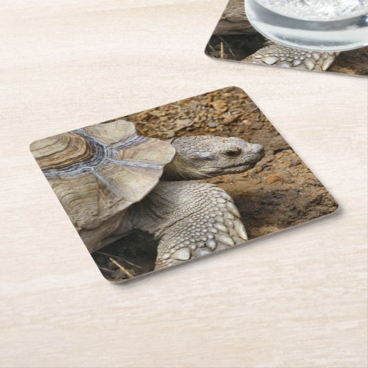 Langzaam Kartonnen Onderzetters (Schuin)