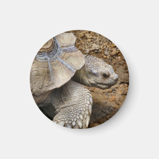 Langzaam Magneet (Voorkant)