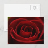 Langzaam rood Briefkaart (Voorkant / Achterkant)