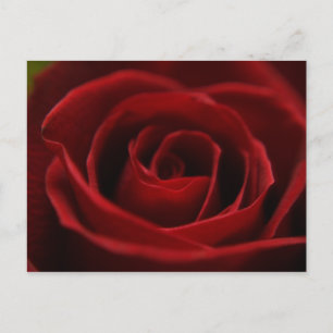 Langzaam rood Briefkaart