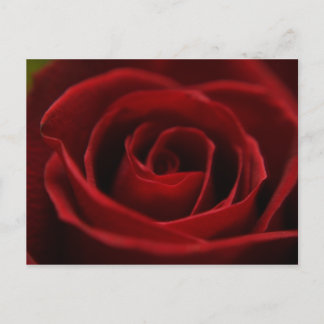 Langzaam rood Briefkaart