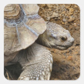 Langzaam Vierkante Sticker (Voorkant)