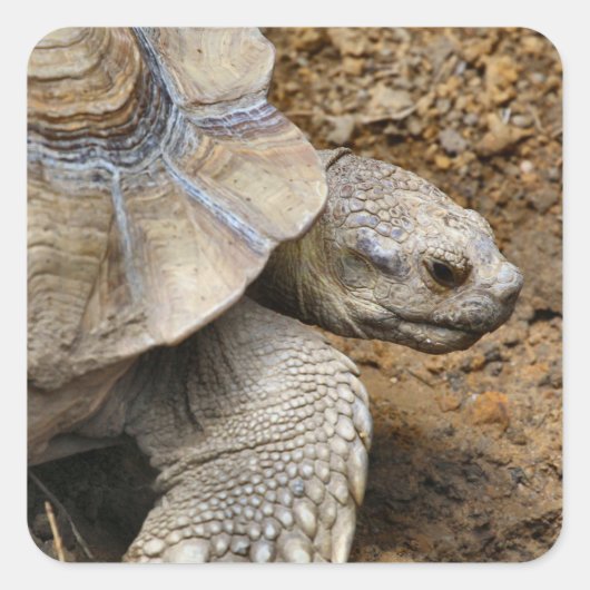 Langzaam Vierkante Sticker (Voorkant)