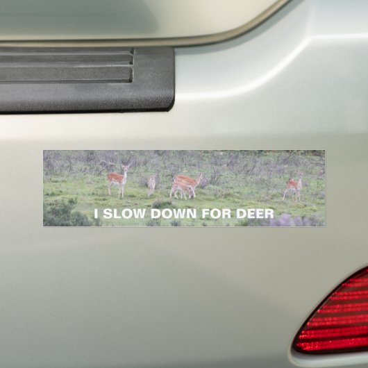 Langzaam voor herten bumpersticker (Op auto)