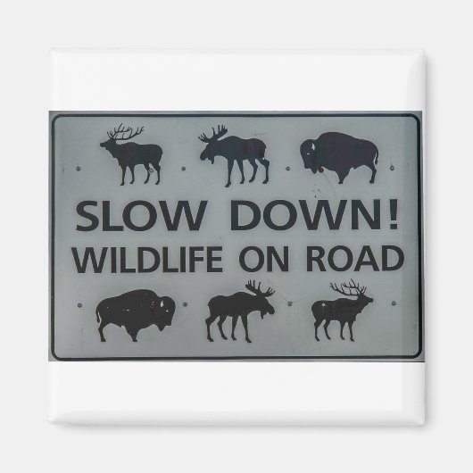 Langzaam! Wilde dieren op de weg Magneet (Voorkant)
