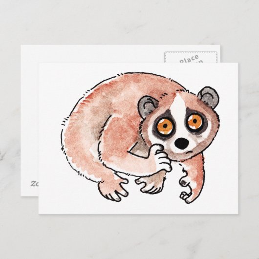 Langzame Briefkaart Loris (Voorkant / Achterkant)