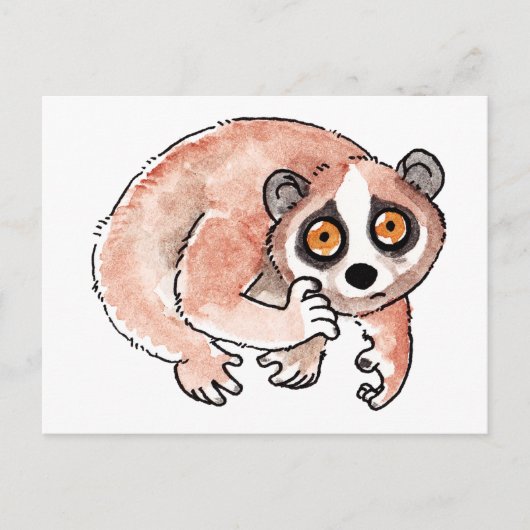 Langzame Briefkaart Loris (Voorkant)