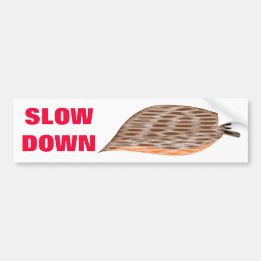 Langzame Bumpersticker (Voorkant)