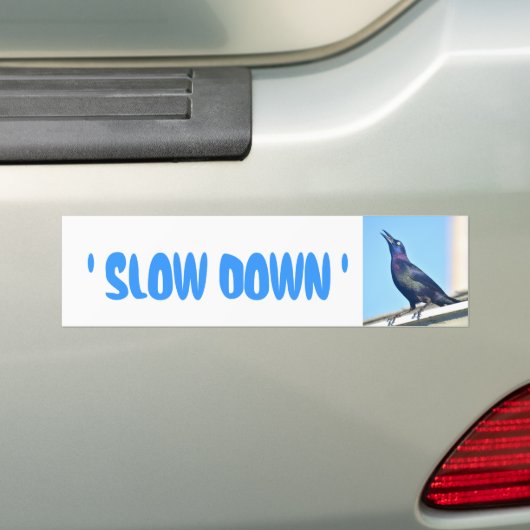 Langzame Bumpersticker vogel (Op auto)