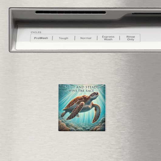 Langzame en stabiele schildpadmagneet magneet (Insitu (Vaatwasser))