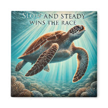 Langzame en stabiele schildpadmagneet