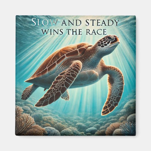 Langzame en stabiele schildpadmagneet magneet (Voorkant)