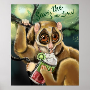 Langzame Loris Smoothie Poster