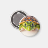 Langzame & Stabiele Schildpadvibes Magneet (Voorkant / Achterkant)