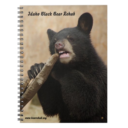 Lanikai-laptop Notitieboek (Voorkant)