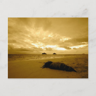 Lanikai Sunrise briefkaart