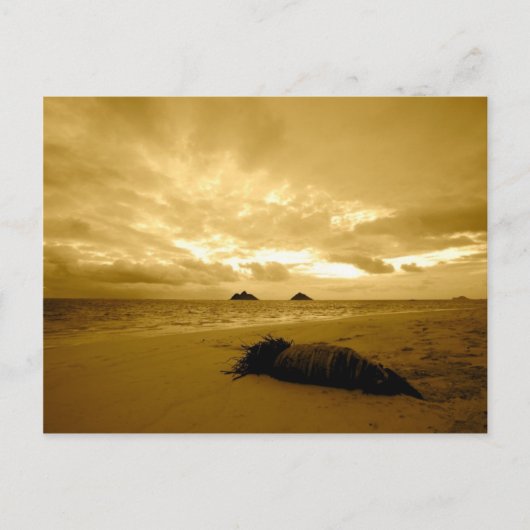 Lanikai Sunrise briefkaart (Voorkant)